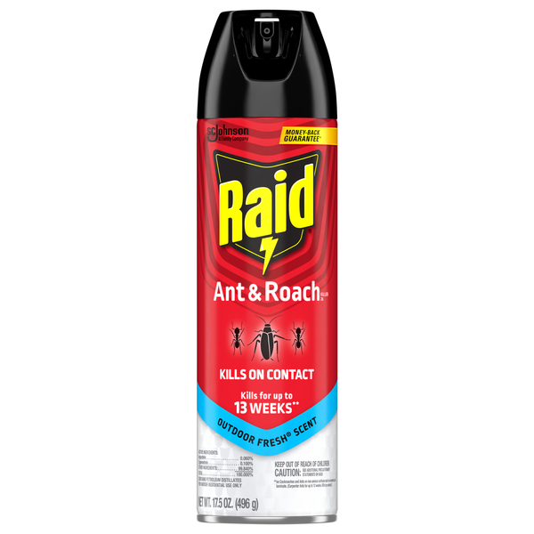Raid Ant & Roach Killer Spray Aerosol Outdoor Fresh Scent
