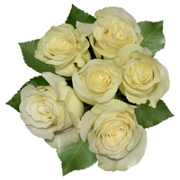 Our Brand White Roses Bunch