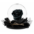 Rose Globe Black Glitter