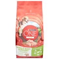 Purina ONE +Plus Whole Body Support Salmon Complete Adult Dog Food