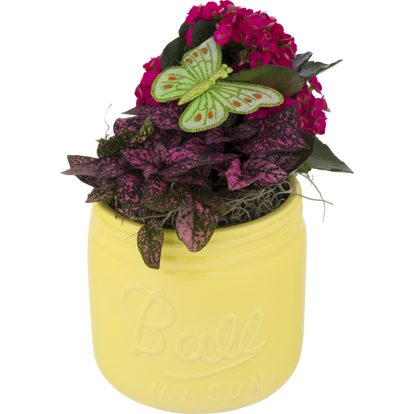 Mason Jar Spring Garden Assorted 5 Inch