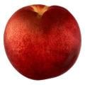 White Flesh Nectarines