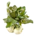 Kohlrabi