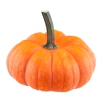Mini Pumpkins