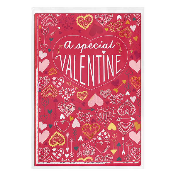 Hallmark Valentine Day Cards for Kids Assorted w/Envelopes