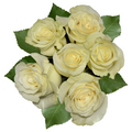 Giant White Roses Bunch