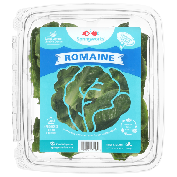 Springworks Romaine Lettuce
