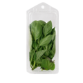 Organic Basil