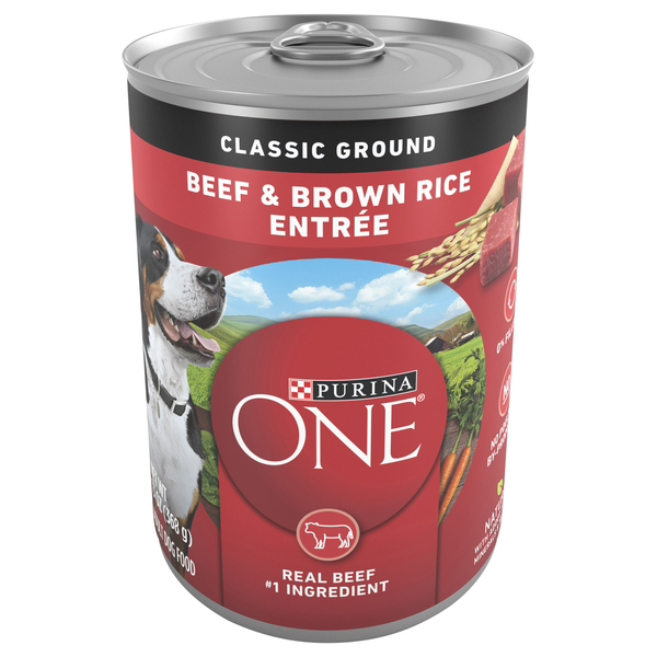 Purina ONE Classic Ground Beef & Brown Rice Adult Wet Dog Food