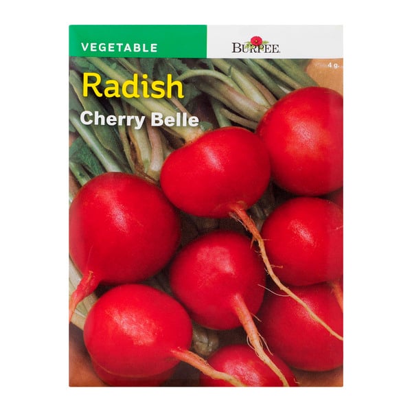 Burpee Vegetable Radish Cherry Belle