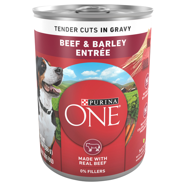 Purina ONE Tender Cuts in Gravy Beef & Barley Adult Wet Dog Food
