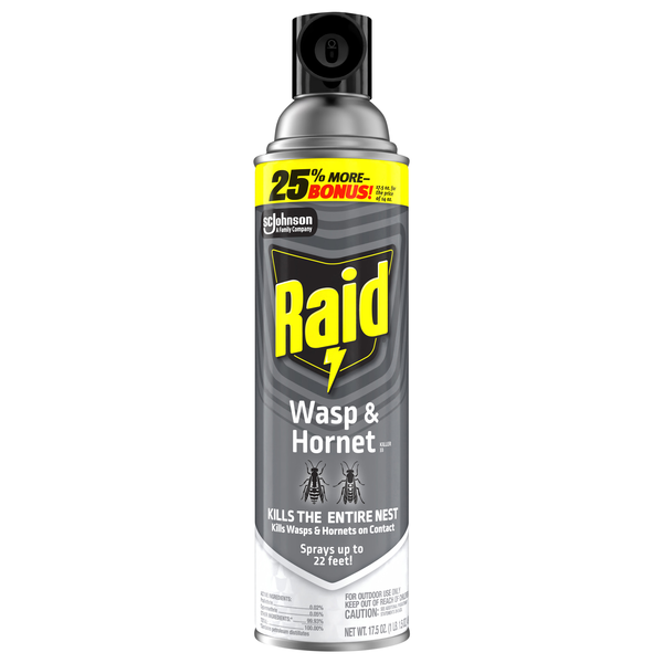 Raid Wasp & Hornet Spray