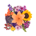 Stop & Shop Beautiful Blooms Bouquet