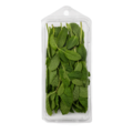 Organic Mint