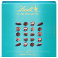 Lindt Mini Pralines Assorted Exquisite Chocolates Candy Gift Box - 20 ct