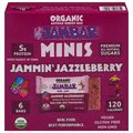 Jambar Organic Jammin' Jazzleberry Minis Energy Bar - 6 ct