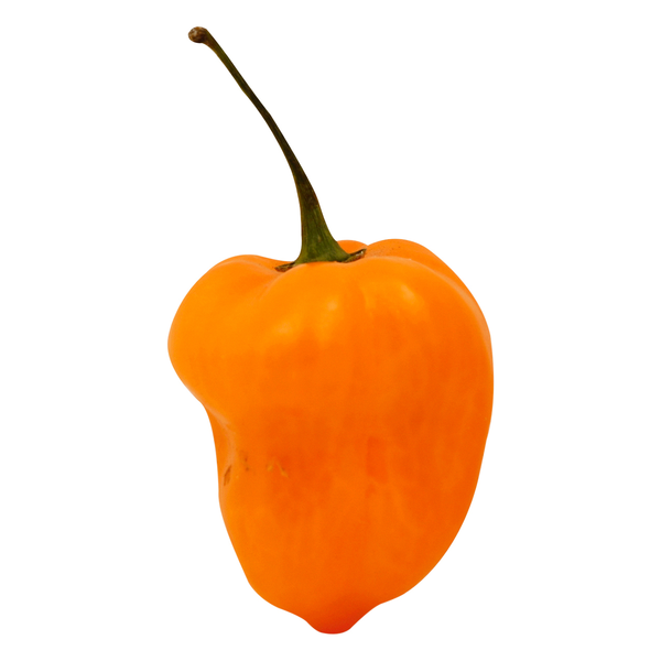 Habanero Peppers
