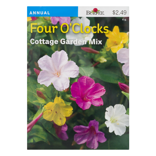 Burpee Annual Four O'Clocks Cottage Garden Mix