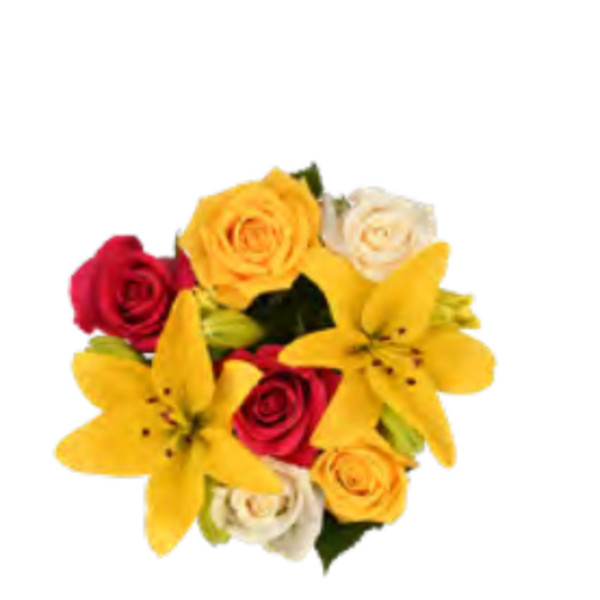 Giant Color Collection Off Grid Lily Rose Bouquet