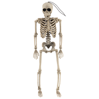 Fun World Human Skeleton 15 Inch | Hannaford