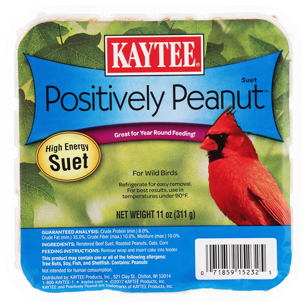 Kaytee Positively Peanut High Energy Suet Wild Bird Food