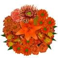 Limited Time Originals Fall Favorites Pumpkin Spice Bouquet (Colors Vary)