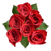 Giant Red Roses Bunch
