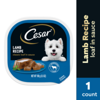 CESAR Classic Loaf in Sauce Lamb Recipe Adult Wet Dog Food
