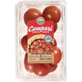 Sunset Campari Tomatoes