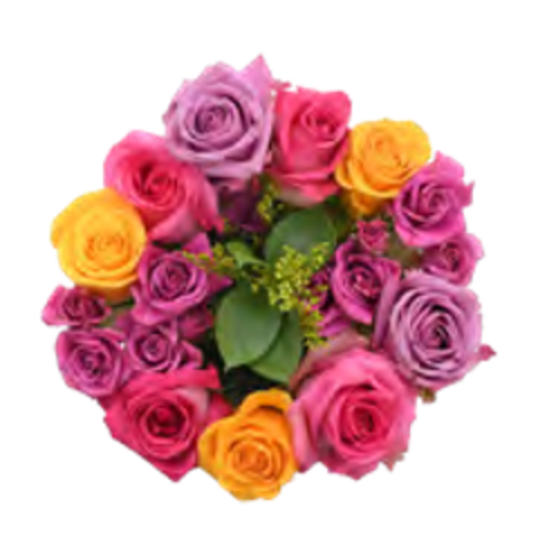 Giant Color Collection Wellness Rose Bouquet