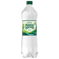 Poland Spring Lime Sparkling Water