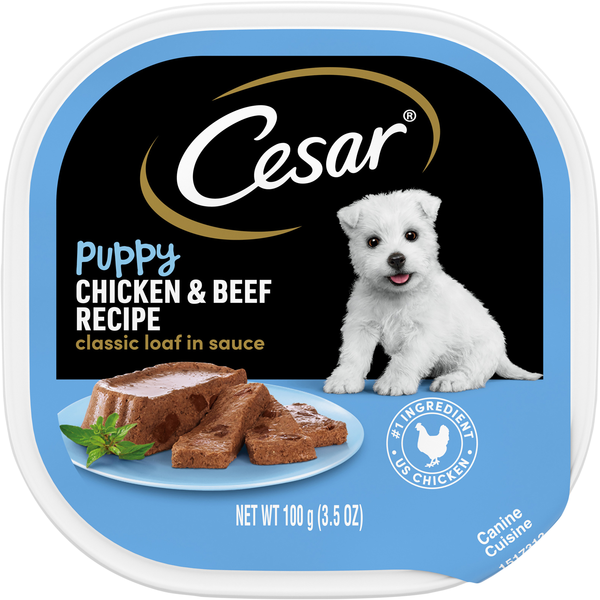 CESAR Classic Loaf in Sauce Chicken & Beef Recipe Wet Puppy Food