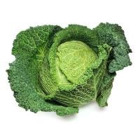 Savoy Cabbage