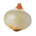 Sweet Onion Peeled