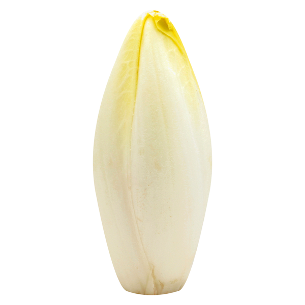 Belgian Endive Lettuce