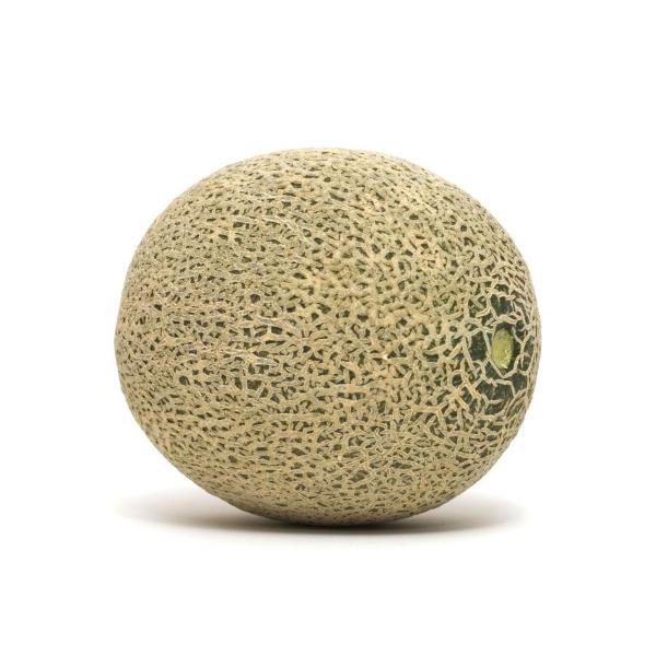 Organic Cantaloupe