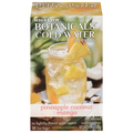 Bigelow Botanicals Cold Water Infusion Pineapple Coconut Mango Tea Bags