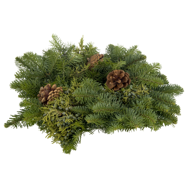 Our Brand Holiday Hiawatha Plant Candle Ring