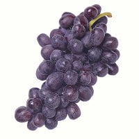 Seedless Black Grapes
