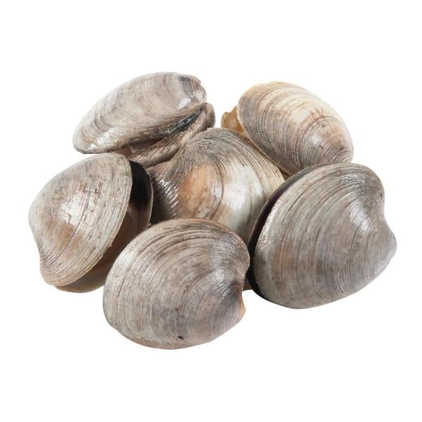 Hannaford Littleneck Clams Fresh