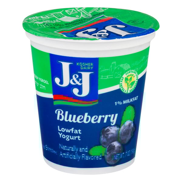 J&J Yogurt Blueberry Low Fat Kosher