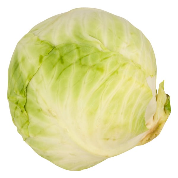 Organic Green Cabbage