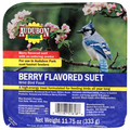Audubon Park Berry Treat Suet Wild Bird Food