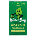 Water Boy Workout Hydration Lemon Lime Electrolyte Drink Mix - 6 ct