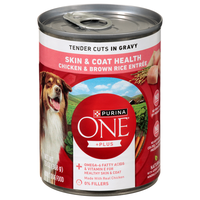 Purina ONE +Plus Skin & Coat Health Chicken/Brown Rice Adult Wet Dog Food