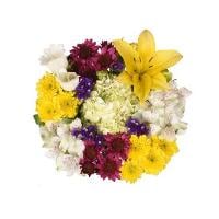 Springtime In Paris Bouquet (Colors May Vary)