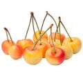 Yellow Rainier Cherries