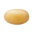 Organic Yellow Potatoes Bag