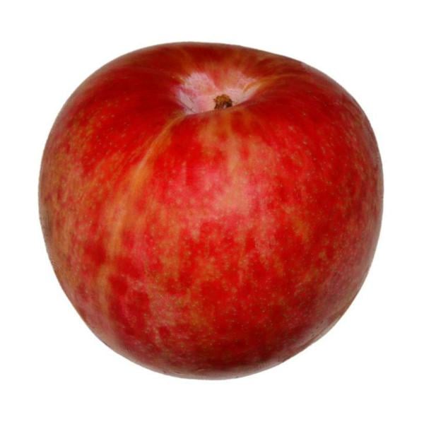 Pluots Bag