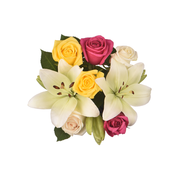 Giant Color Collection Fresh Start Lily Rose Bunch